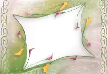 Efekt zdjęciowy z kategorii Ramki dla kobiet № 96114 Efekt zdjęciowy z kategorii Ramki dla kobiet № 96114