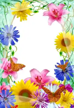 Efekt zdjęciowy z kategorii Ramki dla kobiet № 9688