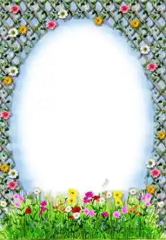 Efekt zdjęciowy z kategorii Ramki dla kobiet № 9691