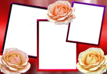Efekt zdjęciowy z kategorii Ramki dla kobiet № 9712