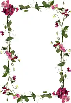 Efekt zdjęciowy z kategorii Ramki dla kobiet № 97451 Efekt zdjęciowy z kategorii Ramki dla kobiet № 97451