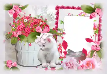 Efekt zdjęciowy z kategorii Ramki dla kobiet № 97470 Efekt zdjęciowy z kategorii Ramki dla kobiet № 97470