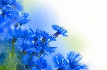 Efekt zdjęciowy z kategorii Ramki dla kobiet № 97638 Efekt zdjęciowy z kategorii Ramki dla kobiet № 97638