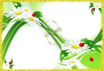 Efekt zdjęciowy z kategorii Ramki dla kobiet № 97688 Efekt zdjęciowy z kategorii Ramki dla kobiet № 97688