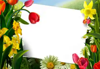 Efekt zdjęciowy z kategorii Ramki dla kobiet № 9867