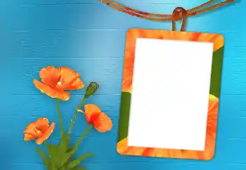 Efekt zdjęciowy z kategorii Ramki dla kobiet № 98705 Efekt zdjęciowy z kategorii Ramki dla kobiet № 98705