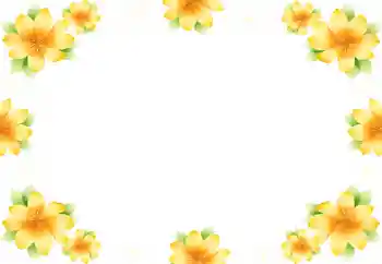 Efekt zdjęciowy z kategorii Ramki dla kobiet № 9892