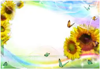 Efekt zdjęciowy z kategorii Ramki dla kobiet № 99812 Efekt zdjęciowy z kategorii Ramki dla kobiet № 99812