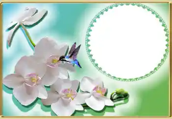 Efekt zdjęciowy z kategorii Ramki dla kobiet № 99814 Efekt zdjęciowy z kategorii Ramki dla kobiet № 99814