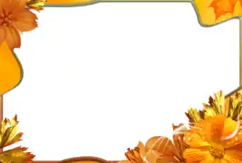 Efekt zdjęciowy z kategorii Ramki dla kobiet № 99971 Efekt zdjęciowy z kategorii Ramki dla kobiet № 99971